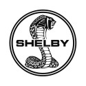 Shelby